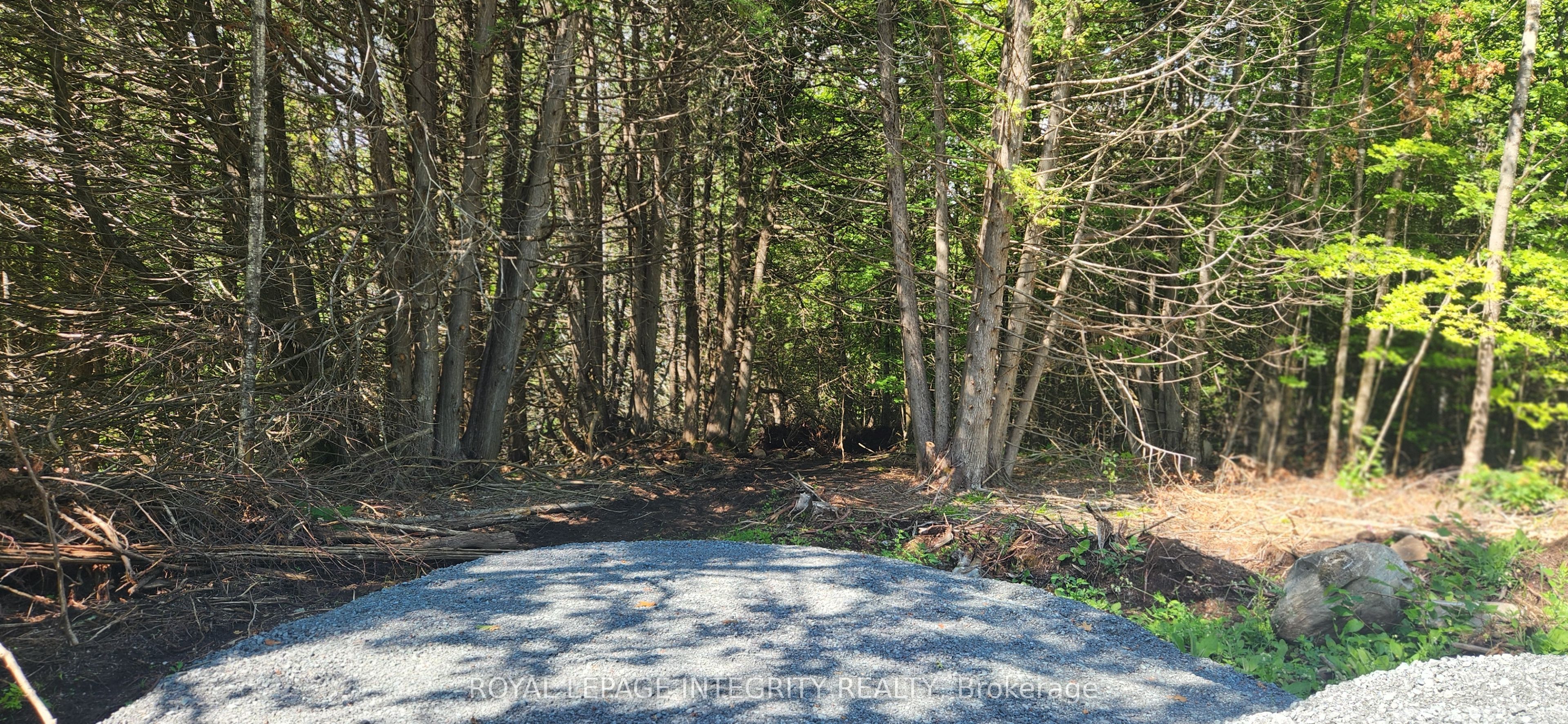 290 Wardens Road, Lanark Highlands, ON K0A 1P0 photo 3