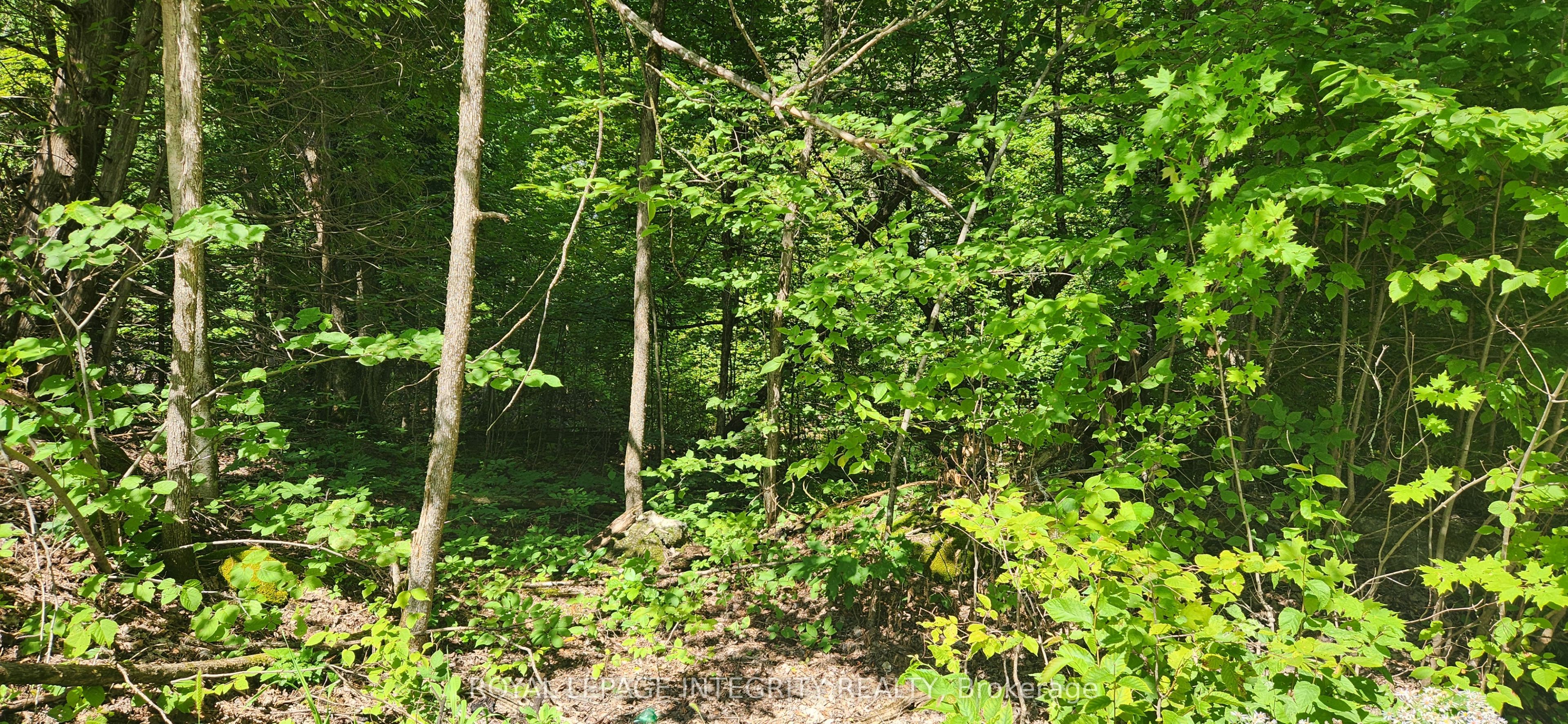 326 Wardens Road, Lanark Highlands, ON K0A 1P0 photo 4
