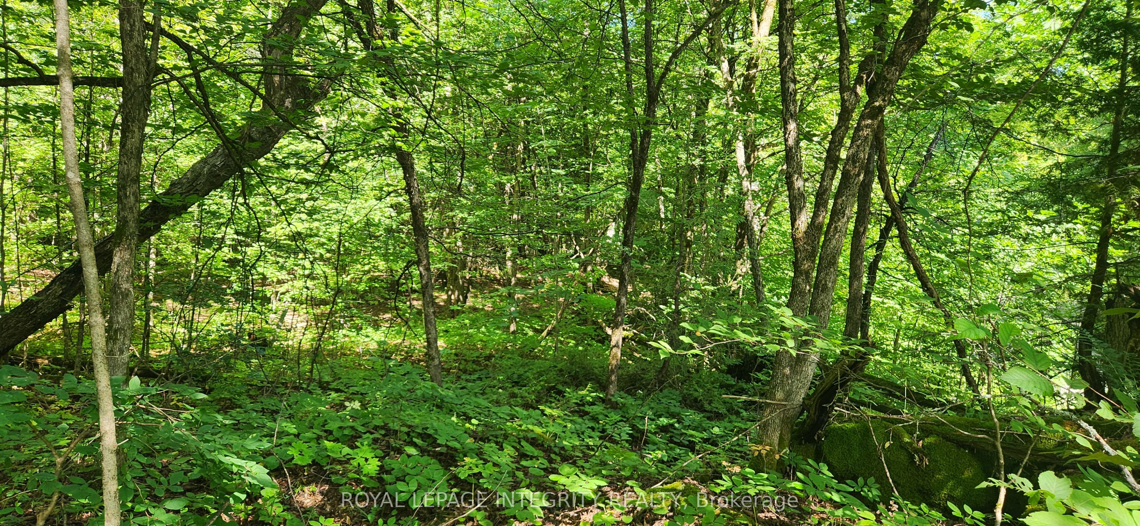 326 Wardens Road, Lanark Highlands, ON K0A 1P0 photo 5