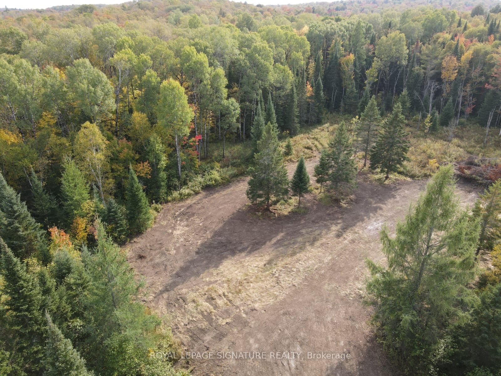 938 Bartlett Lake Road, McMurrich/Monteith, ON P0A 1Y0 photo 2