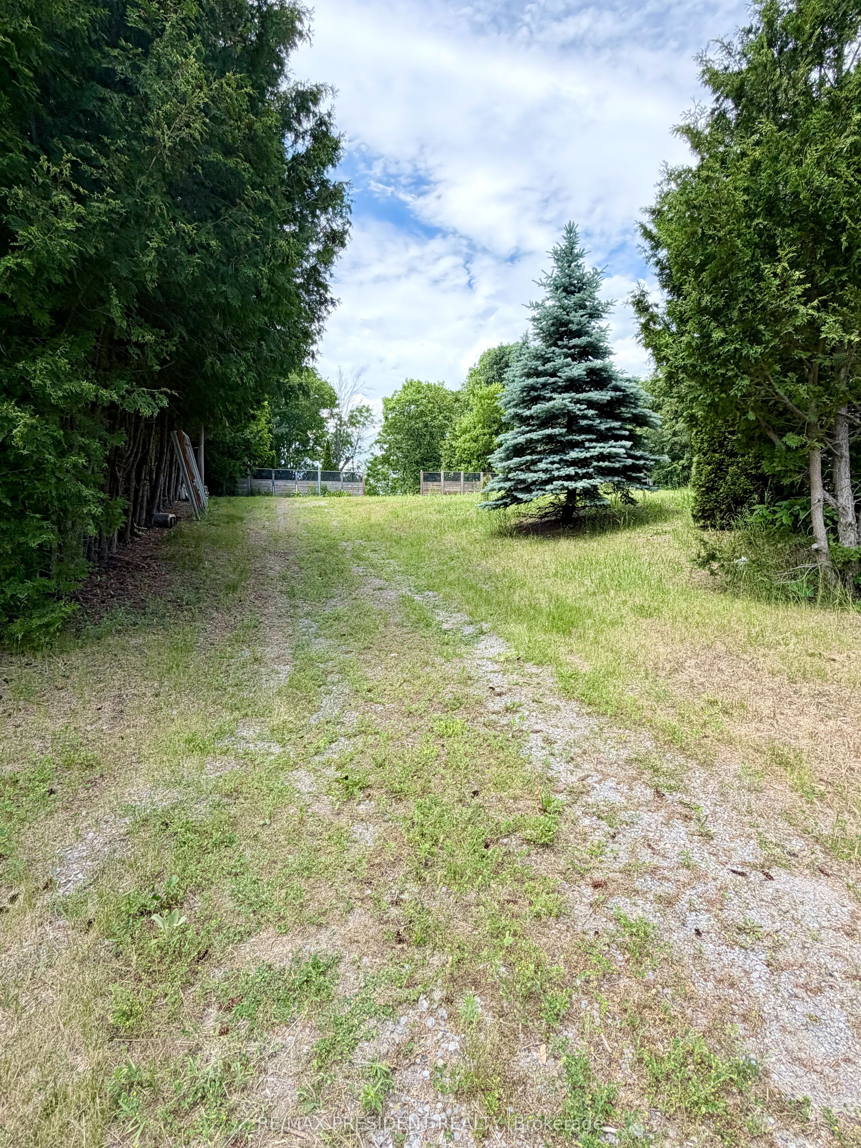 126 Mill Street, Cramahe, ON K0K 1M0 photo 2