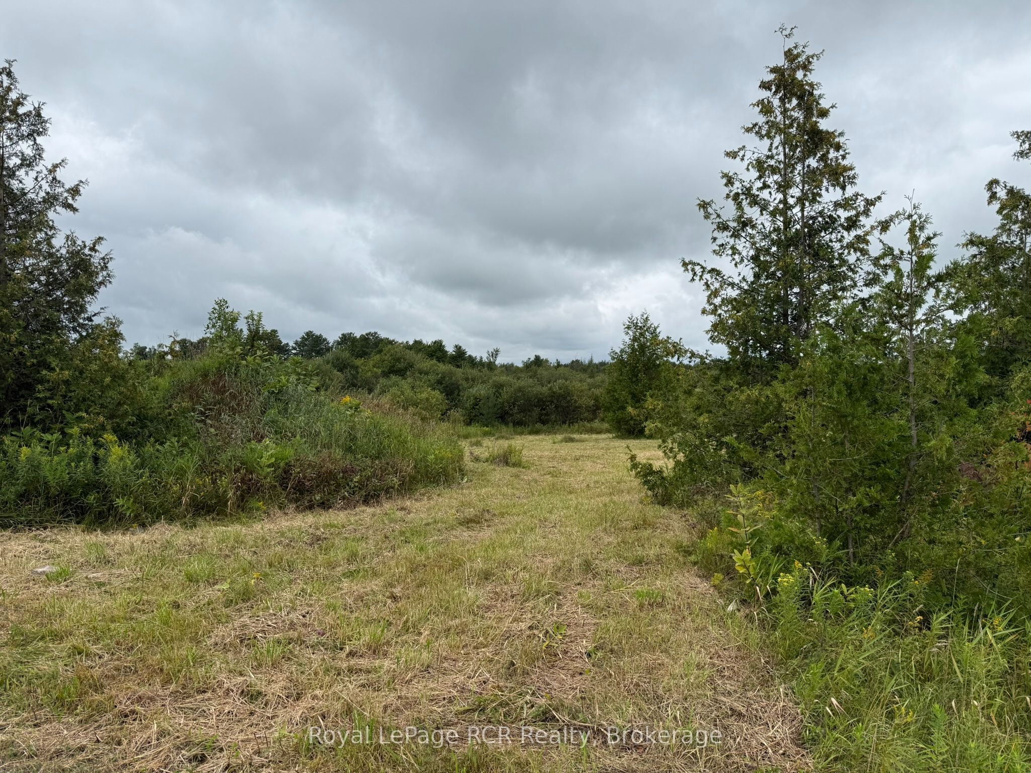 752630 Southgate Sideroad 75, Southgate, ON N0C 1L0 photo 3