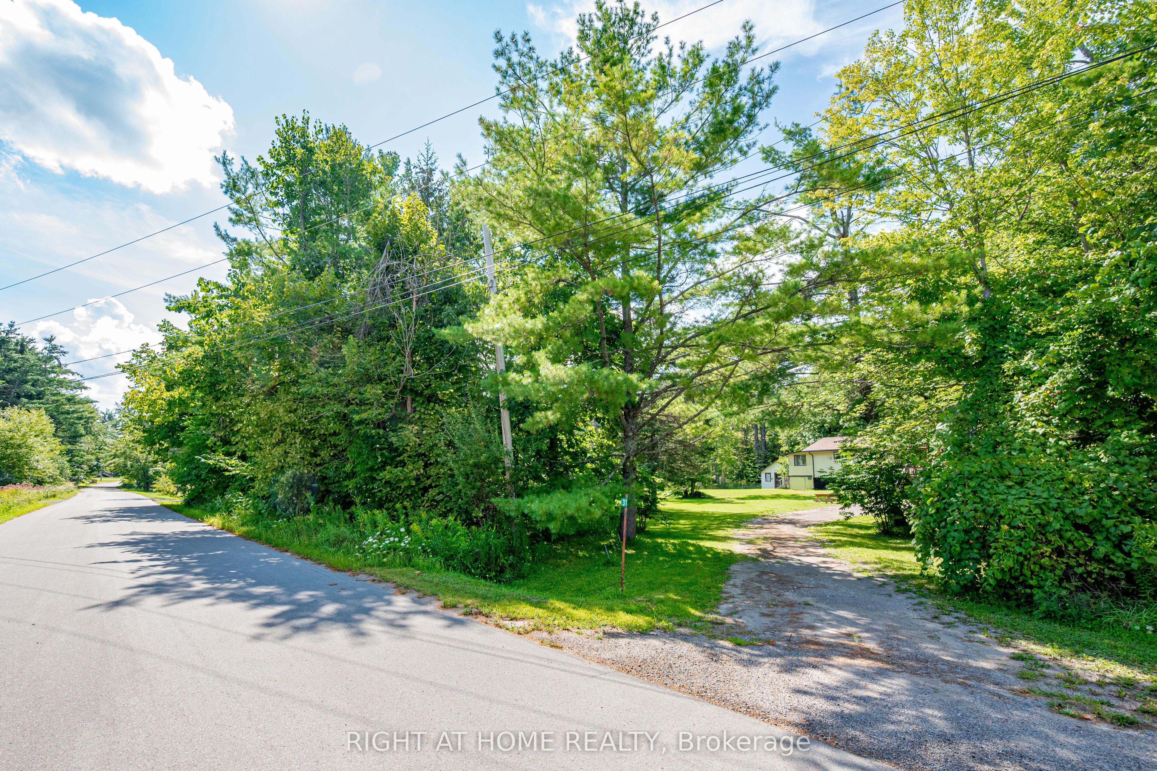 31 Morrison Street, Kawartha Lakes, ON K0M 2L0 photo 3