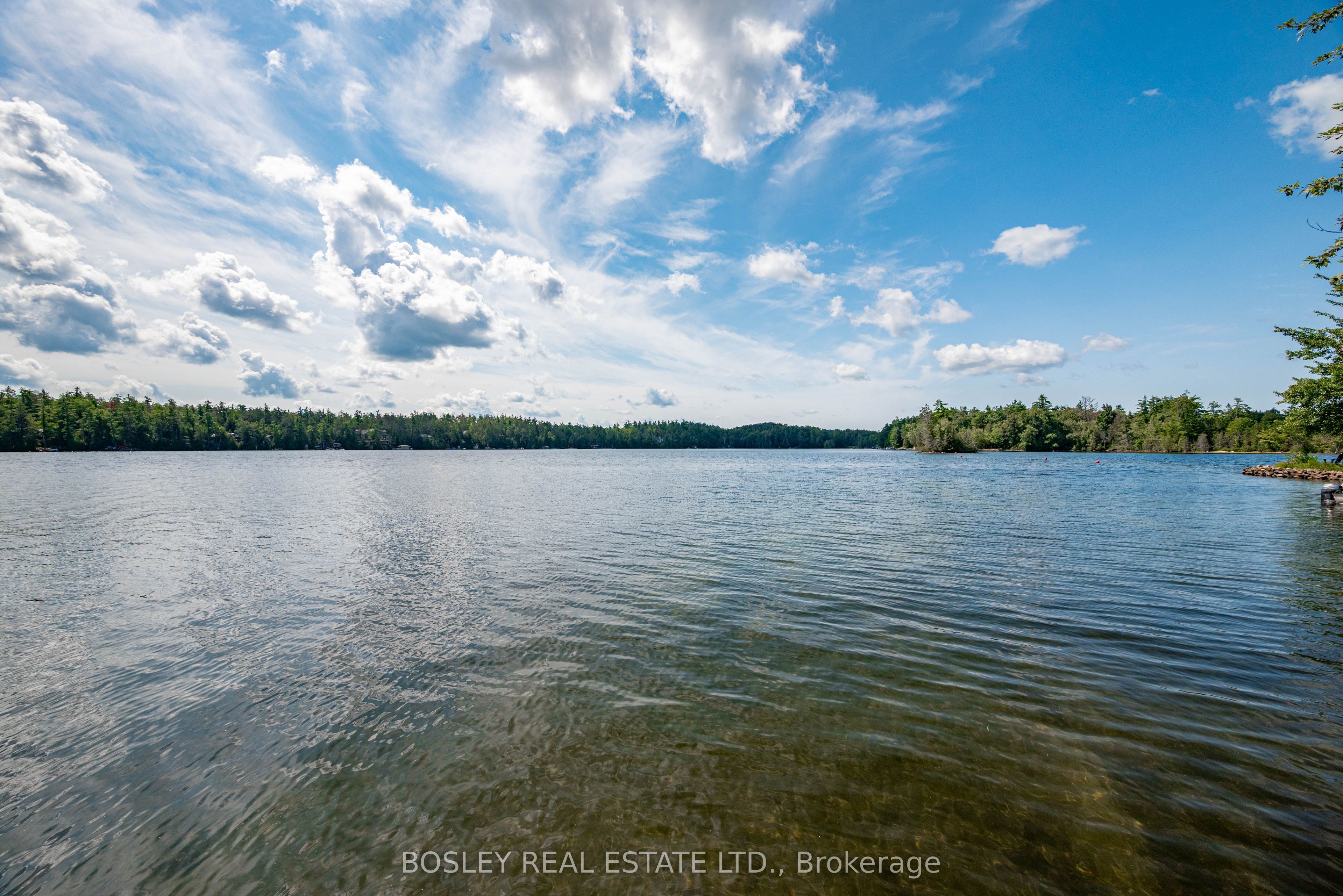88 Anne Drive, Trent Lakes, ON K0M 2A0 photo 3
