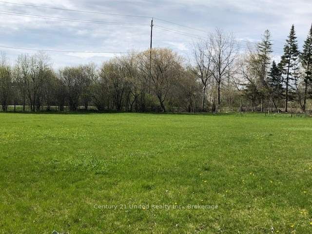 818 Orpington Road A, Peterborough, ON K9J 7X5 photo 5
