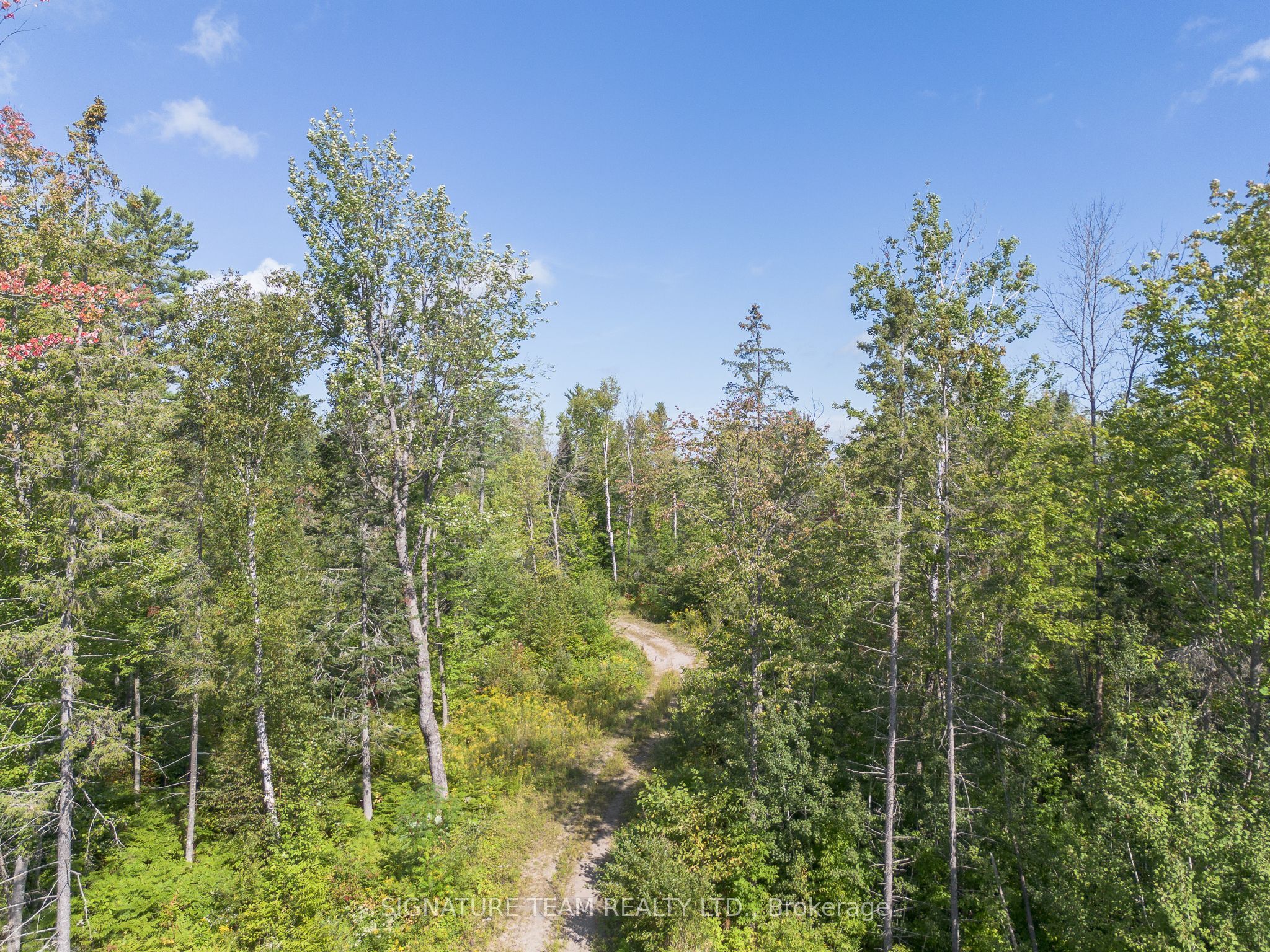 0 Mud Lake Road, Laurentian Valley, ON K8A 6W4 photo 4