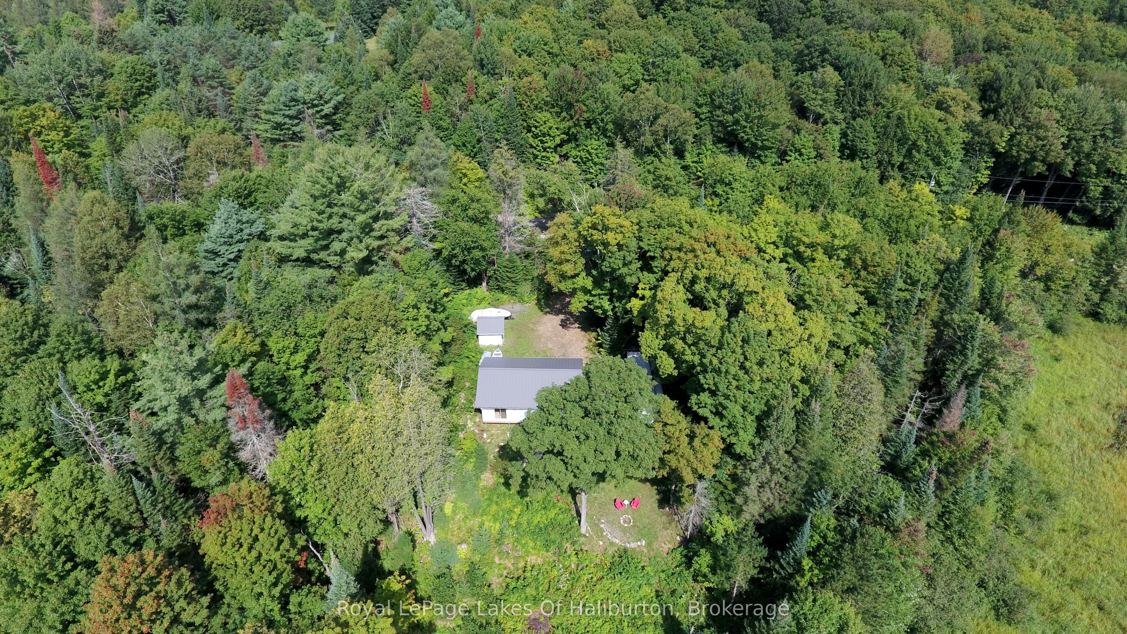 1337 Irish Line Road, Dysart et al, ON K0M 1S0 photo 3