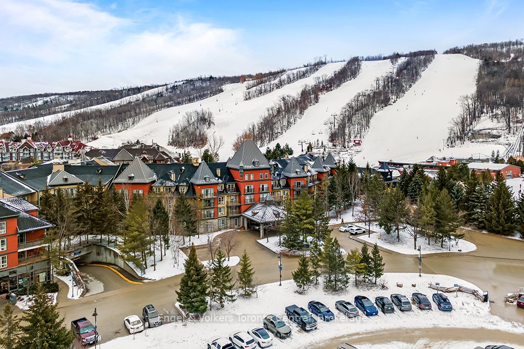 156 Jozo Weider Boulevard 275, Blue Mountains, ON L9Y 0V2 photo 4