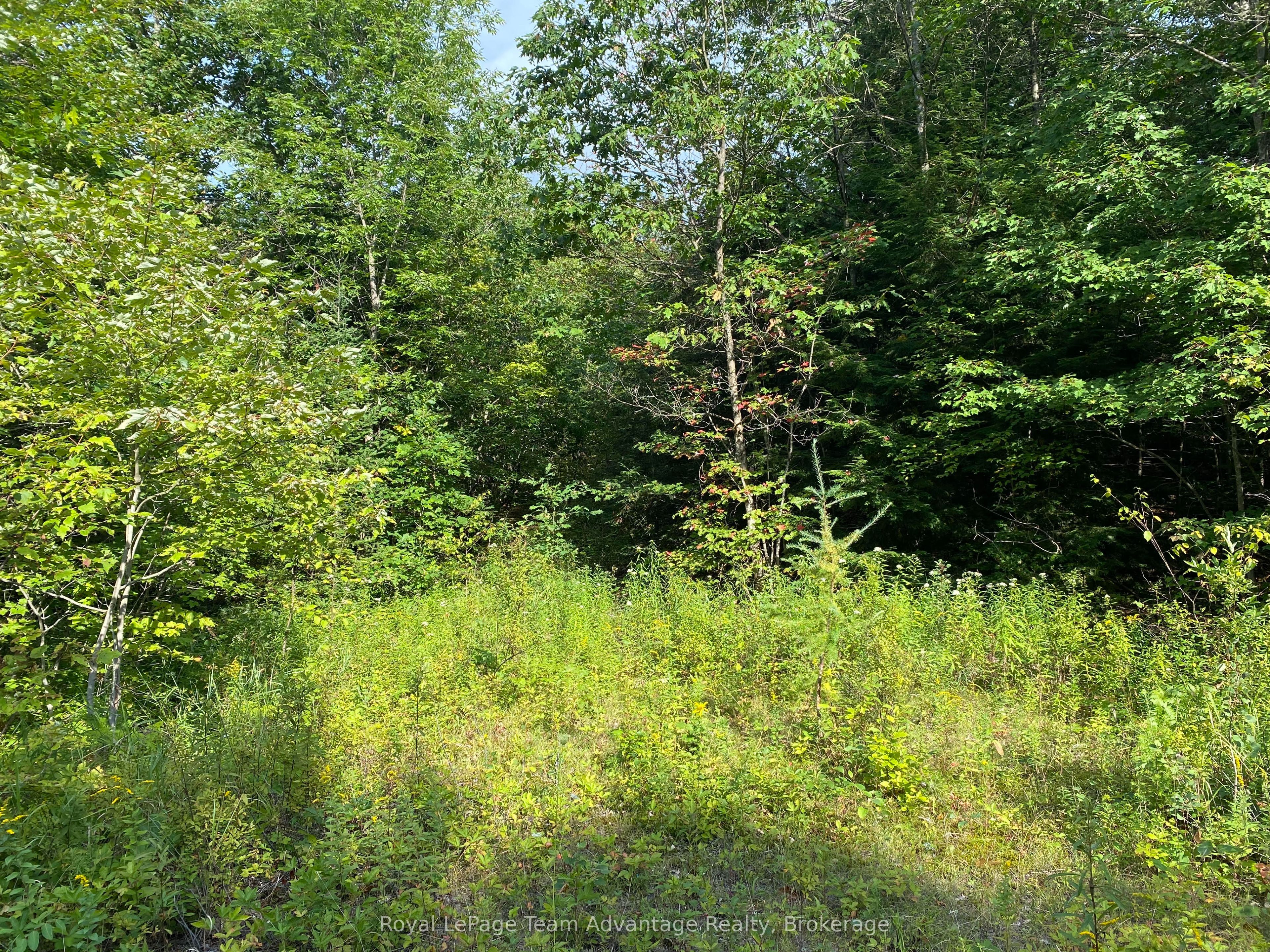Con 6 Pt Lot 28 Part 2 Road S, Seguin, ON P2A 0B2