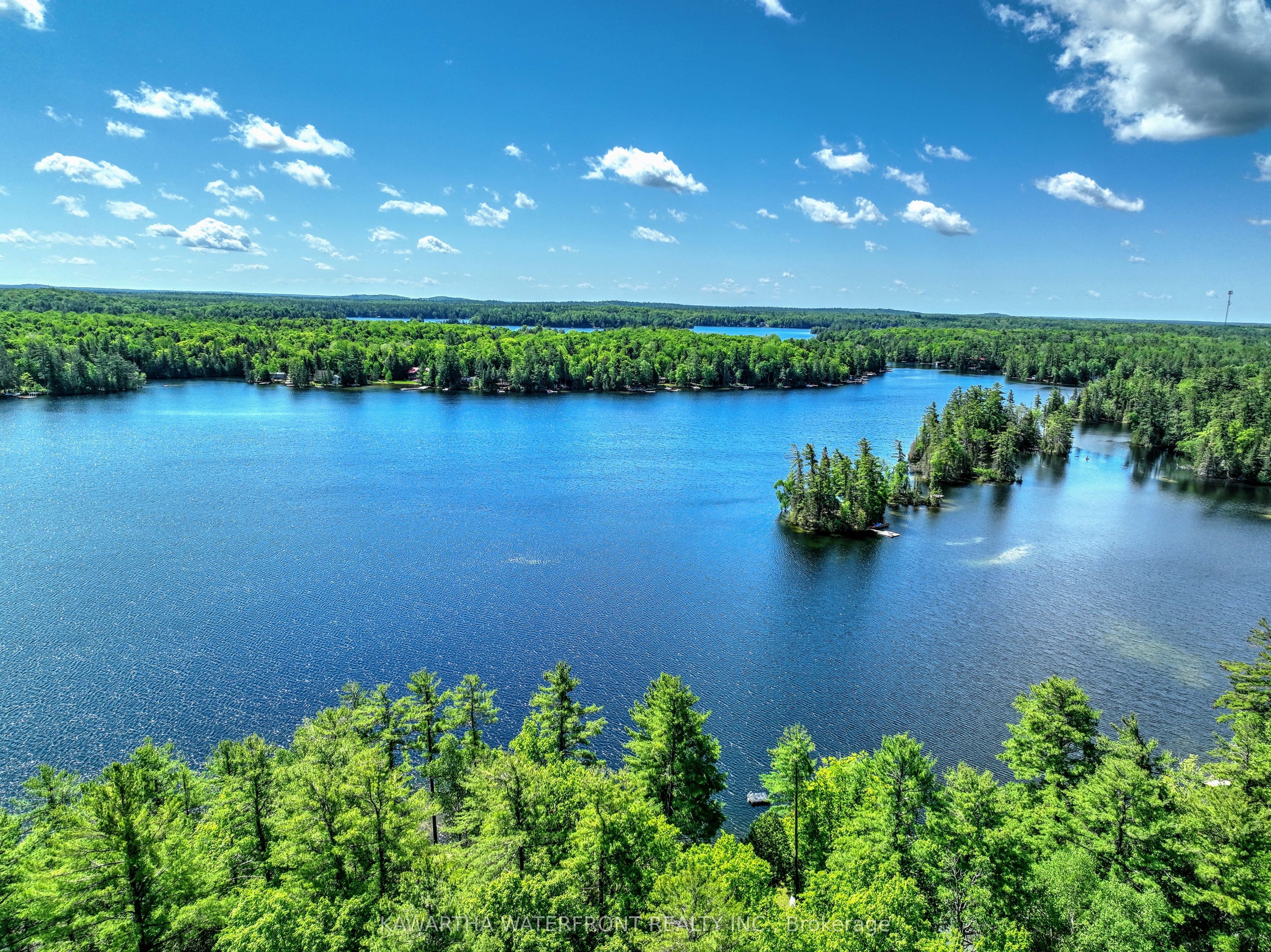 93 West Clear Bay Road, Trent Lakes, ON K0M 2A0 photo 3