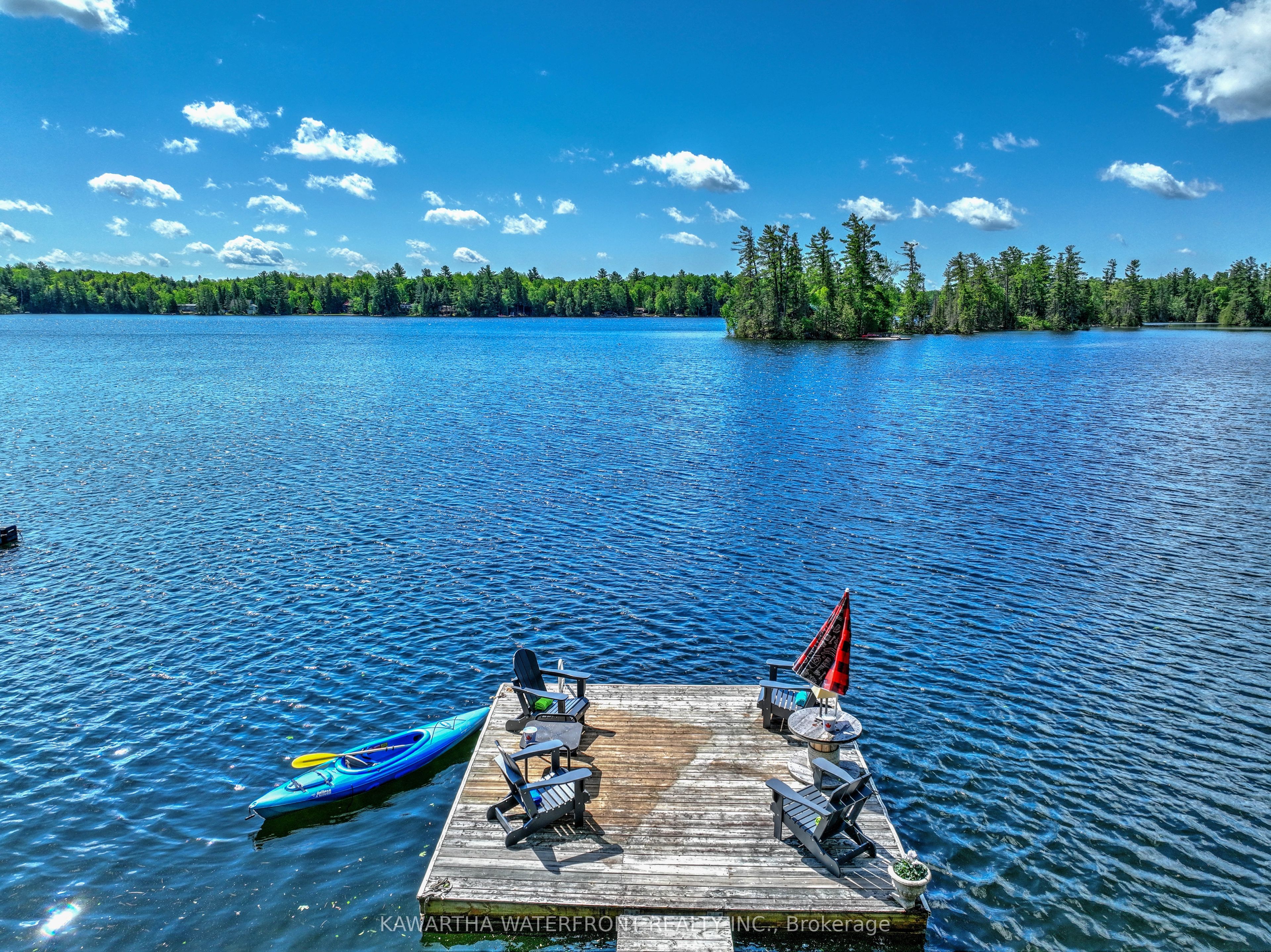 93 West Clear Bay Road, Trent Lakes, ON K0M 2A0 photo 4