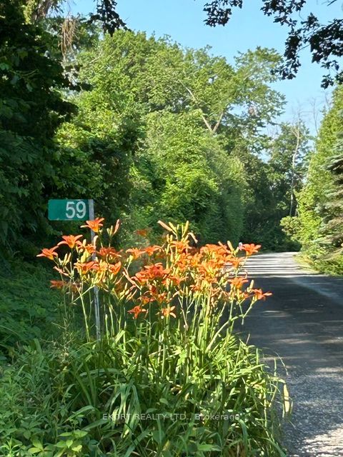 59 Bishop Lane, Prince Edward County, ON K0K 1A0 photo 3