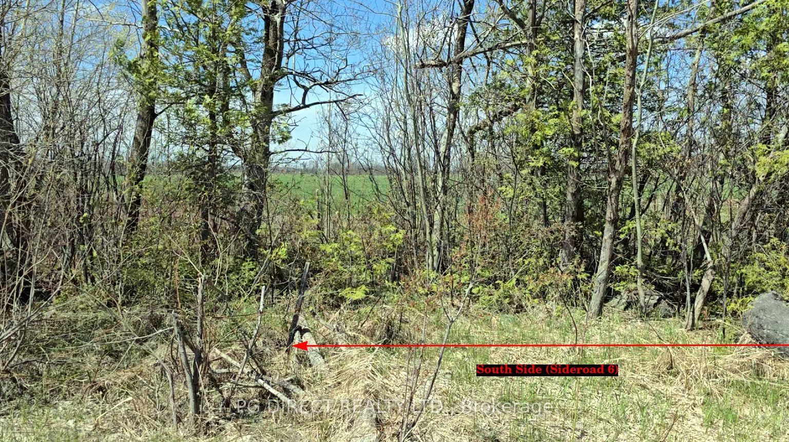 Lot 18 8th Concession, Chatsworth, ON N0H 1K0 photo 5
