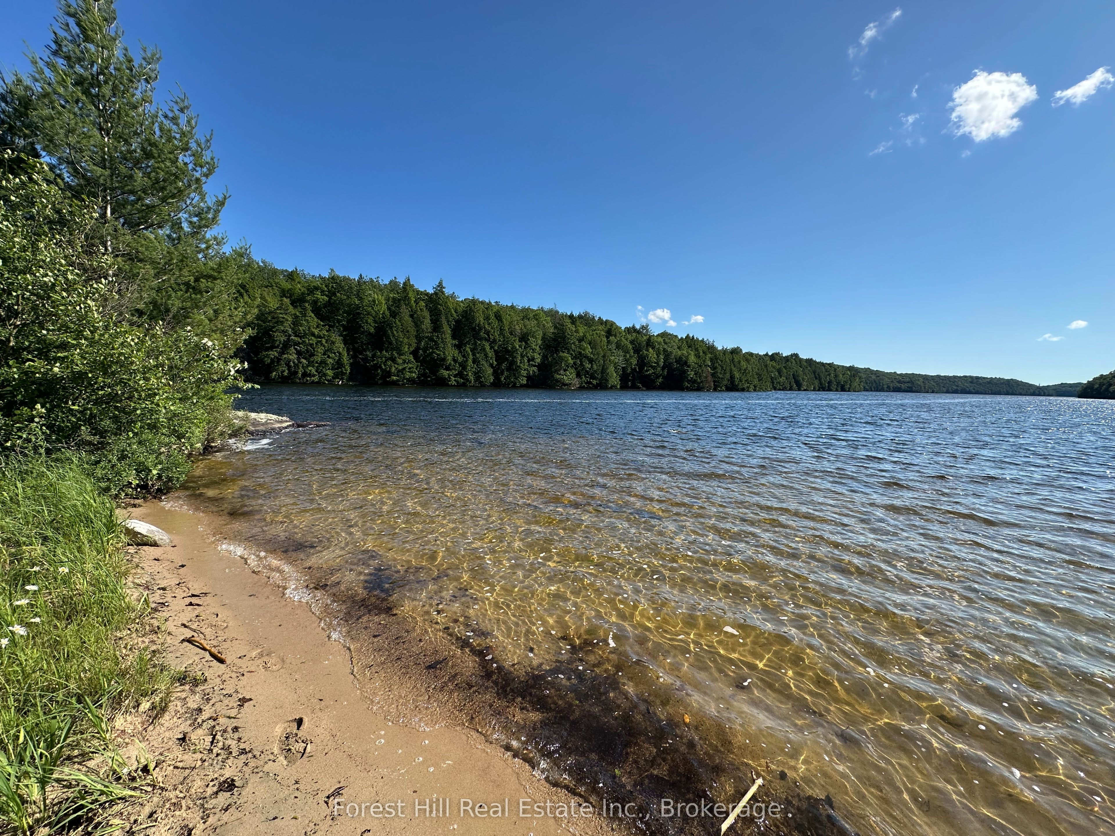 Pt Lt 8,9,10 Con 13, Parry Sound Remote Area, ON P0H 1S0 photo 5