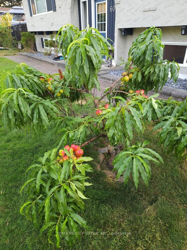 606 Gillis Avenue, Out of Area, BC V0E 2V0 photo 2