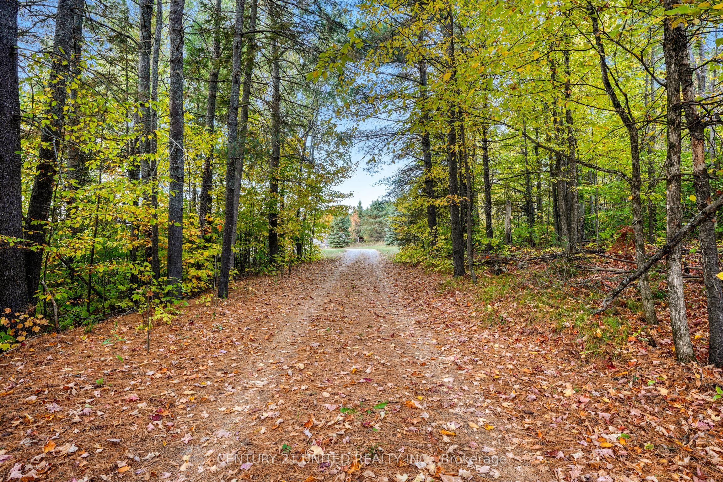 31 McLean Road, Hastings Highlands, ON K0L 2R0 photo 3