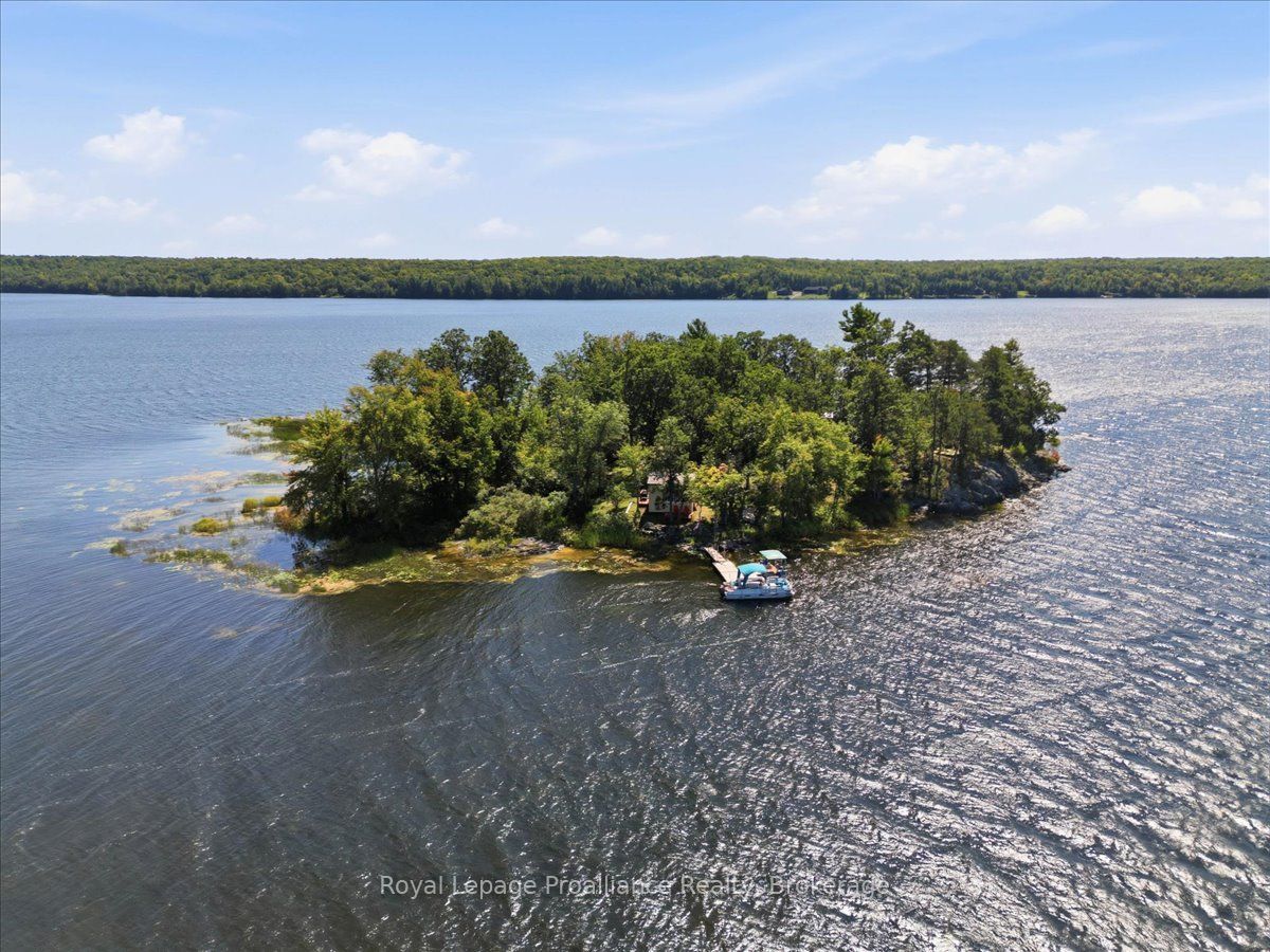 14C Boat Launch Road, Centre Hastings, ON K0K 2K0 photo 3