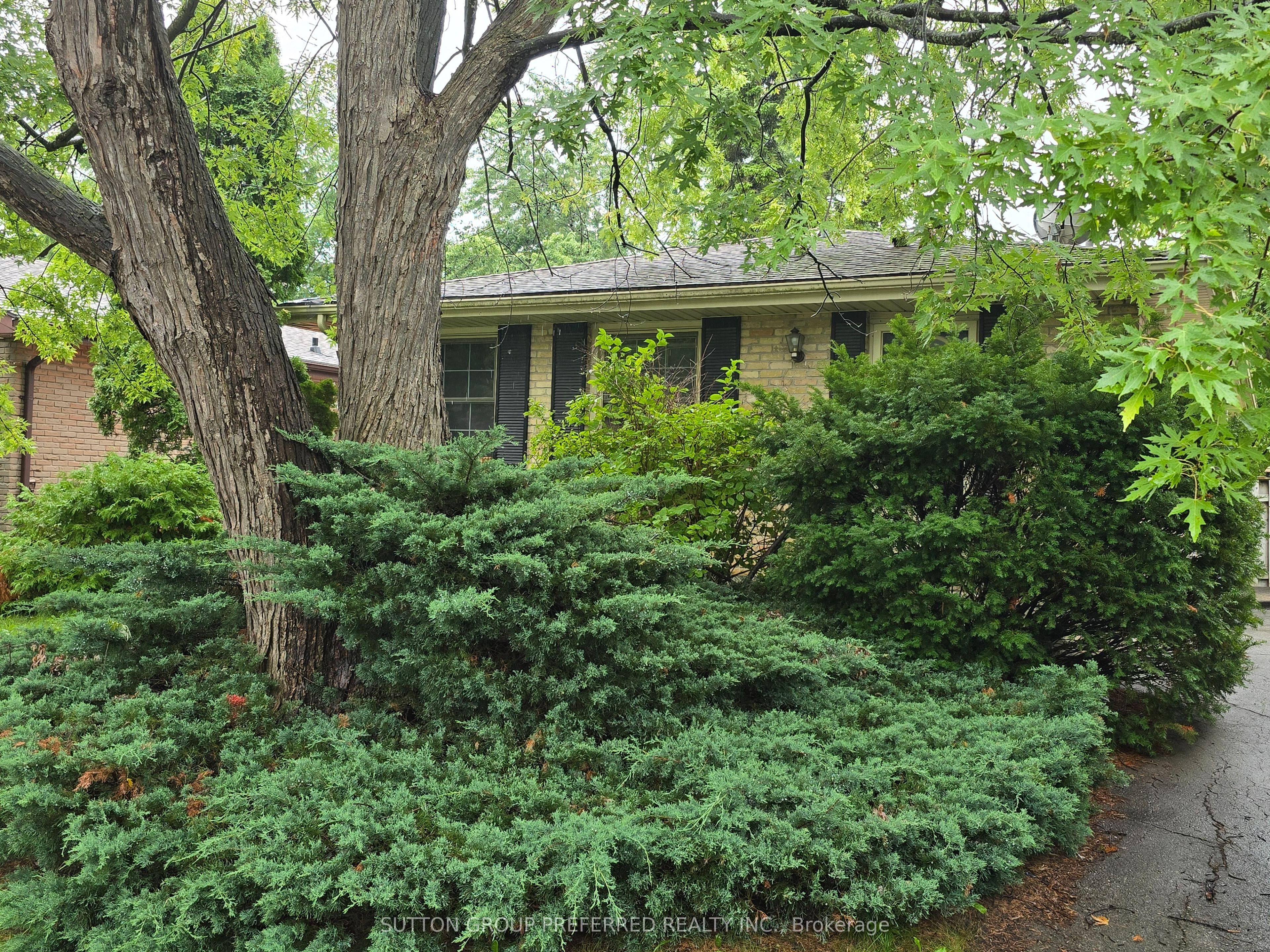 383 Ferndale Avenue, London South, ON N6C 2Y9 photo 2