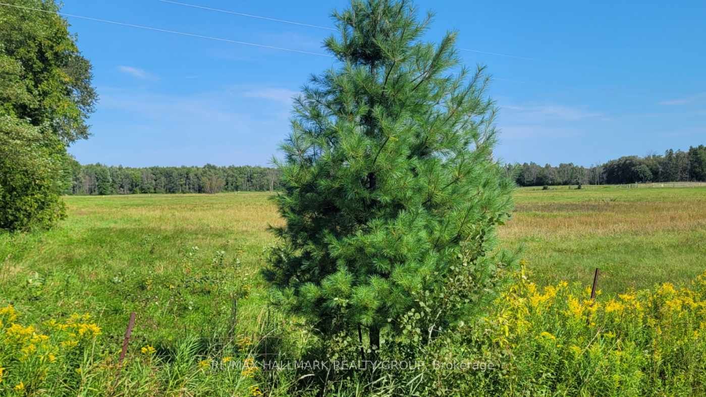 0000 Skakum Road, Augusta, ON K0E 1T0 photo 2