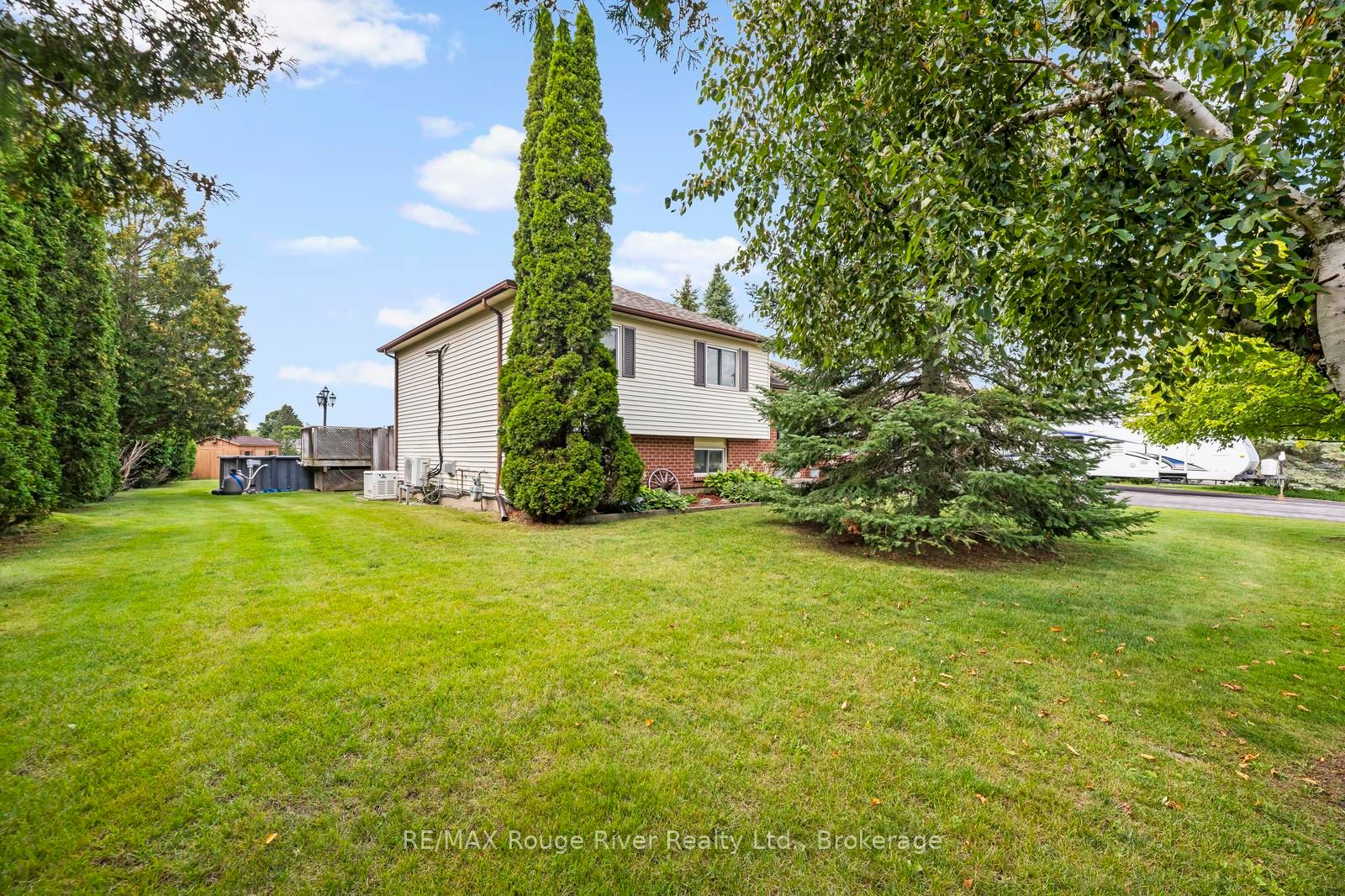 6 Hamilton Drive, Kawartha Lakes, ON L0A 1A0 photo 3