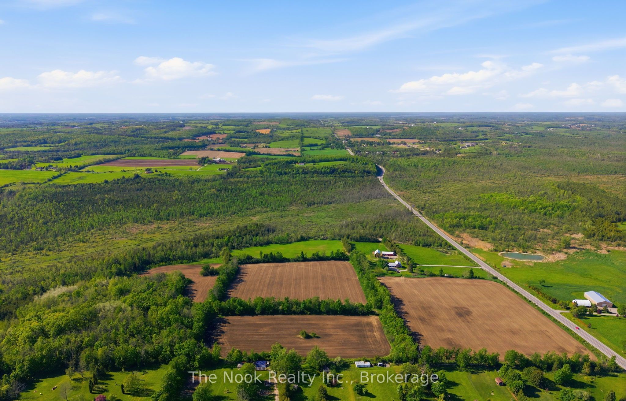 2132 County 10 Road, Cavan Monaghan, ON L0A 1C0 photo 3