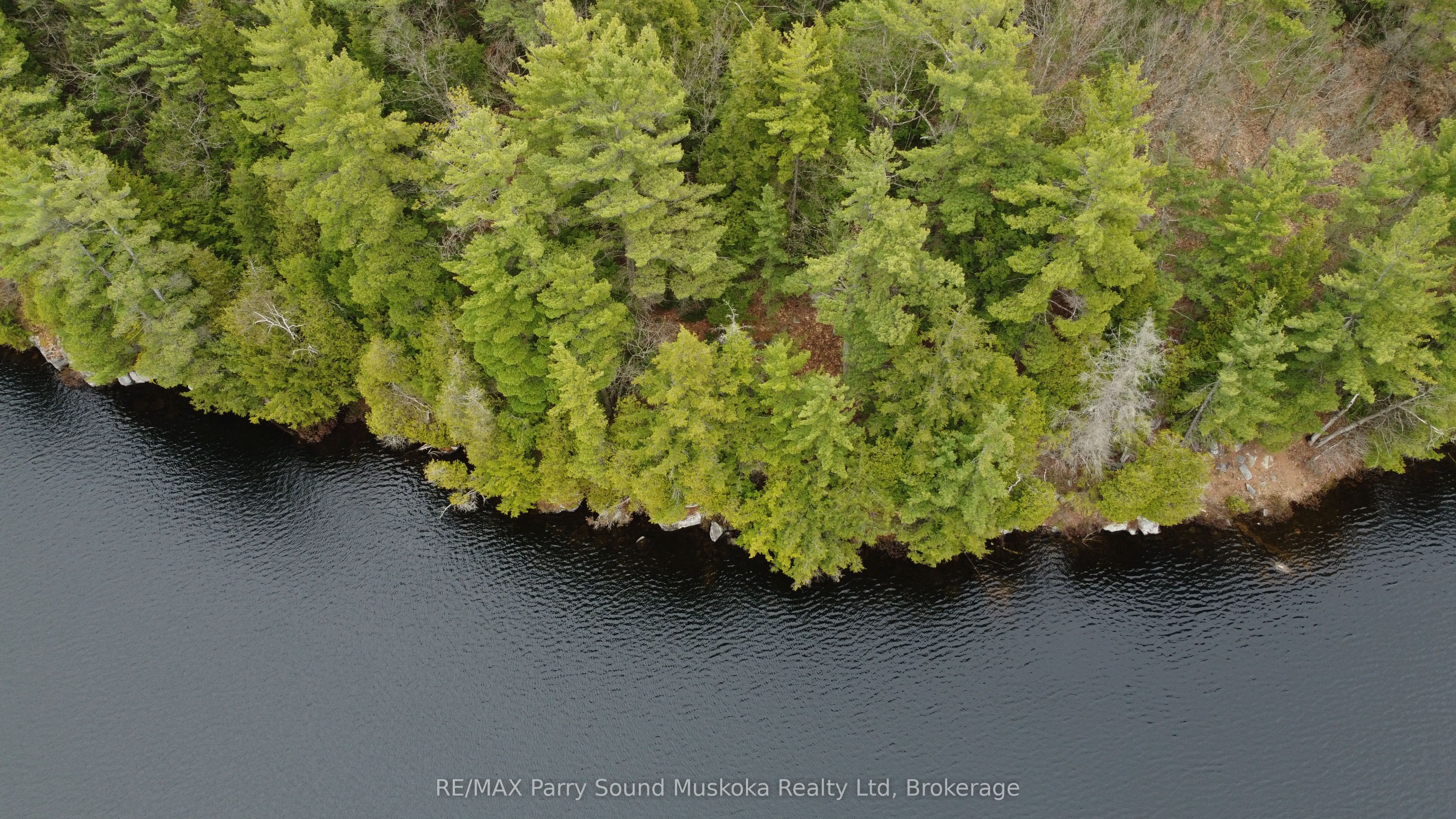 4 Wee Gee Wa Road, Seguin, ON P2A 0E8 photo 5