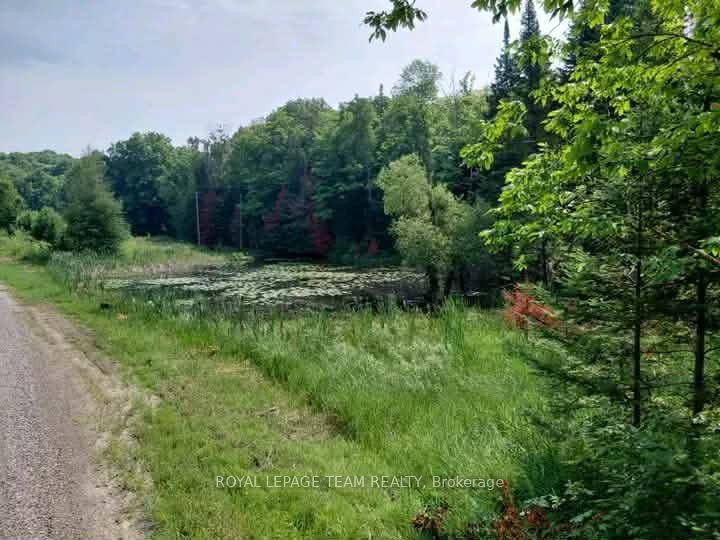 1491 Smith Road SW, Frontenac, ON K0H 1C0 photo 3