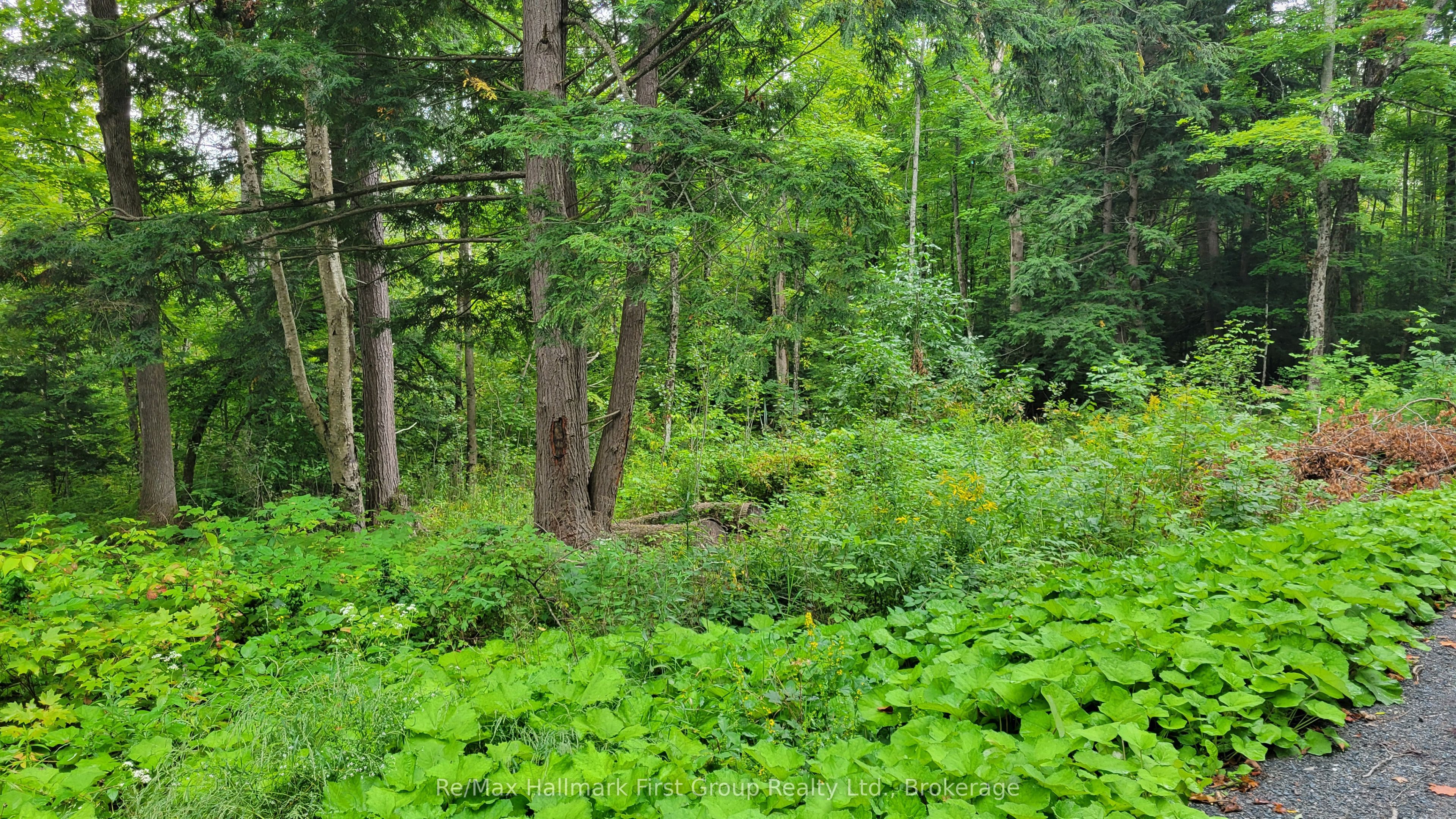 0 Black River Road N, Tweed, ON K0K 3J0