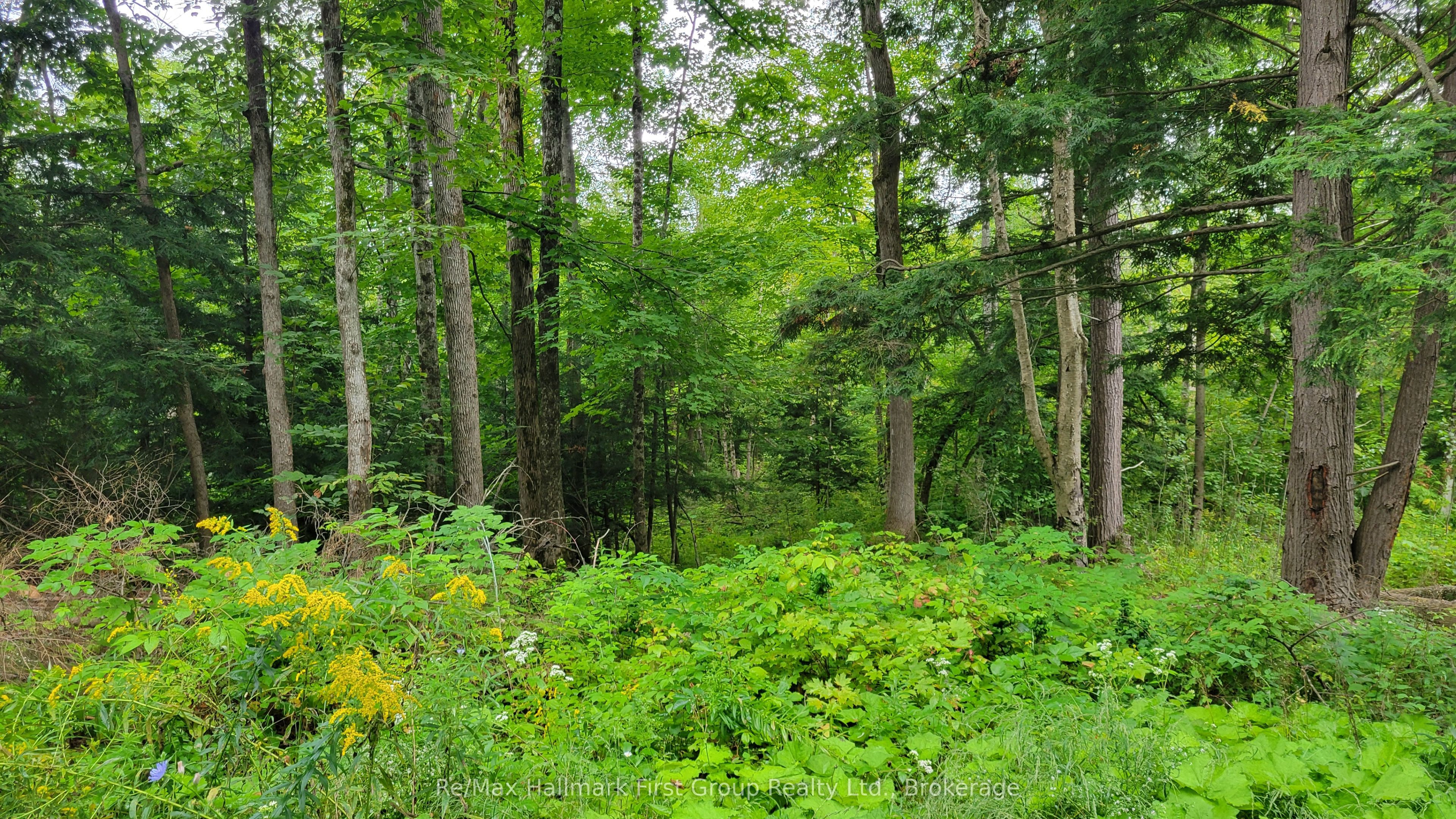 0 Black River Road N, Tweed, ON K0K 3J0 photo 2