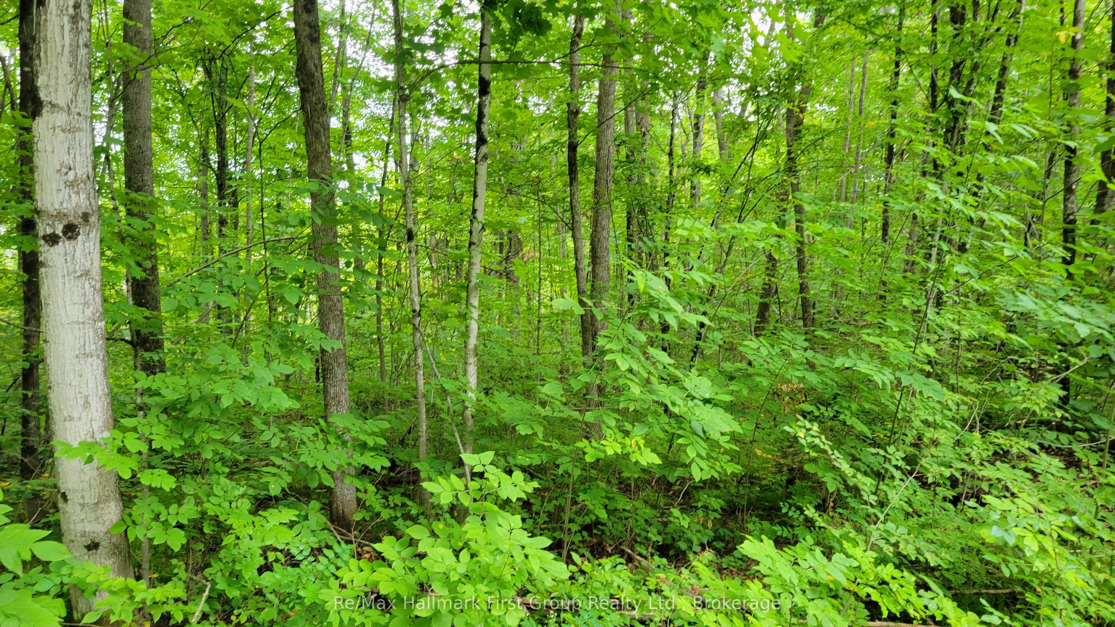 0 Black River Road N, Tweed, ON K0K 3J0 photo 3