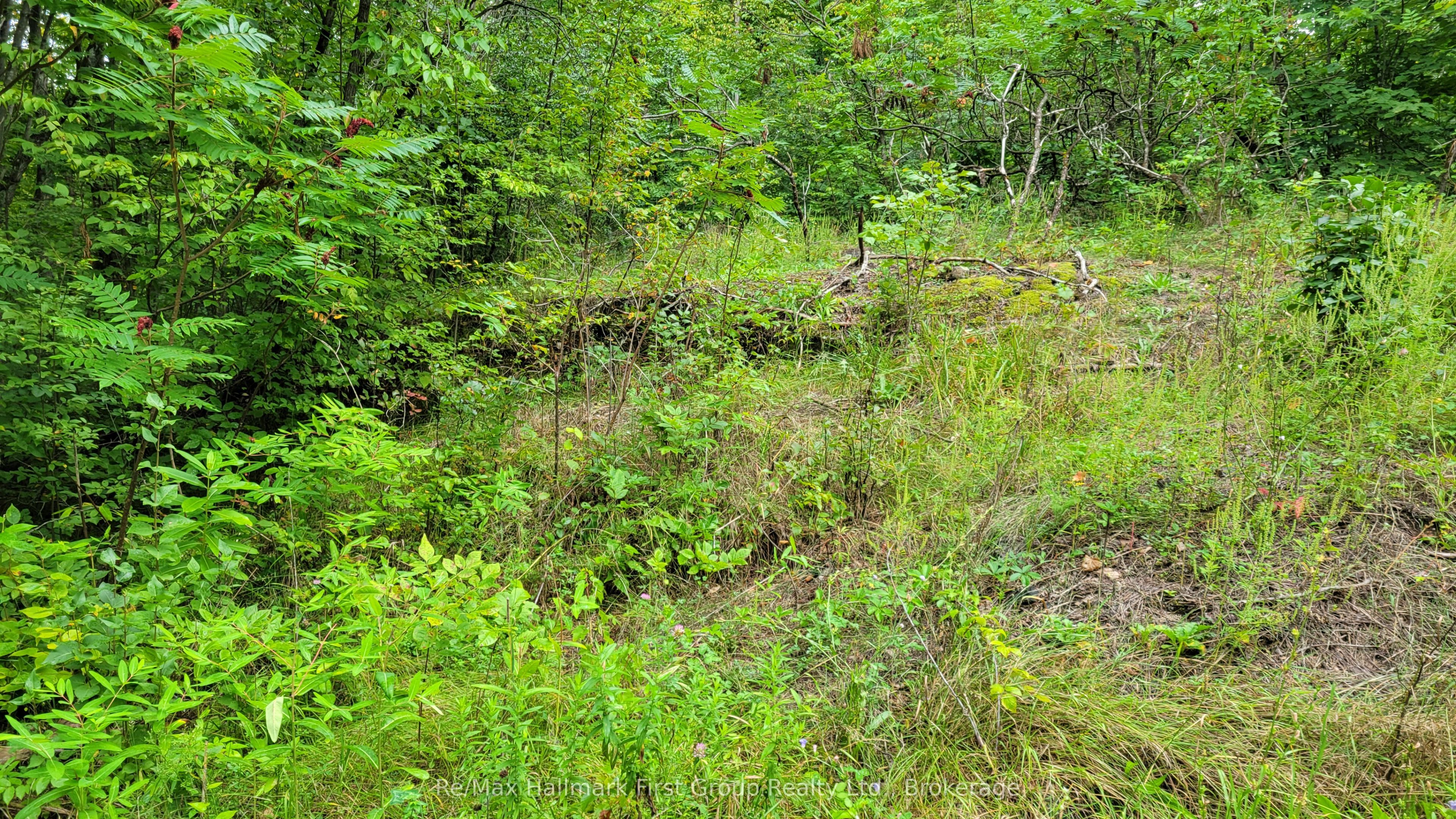 0 Black River Road N, Tweed, ON K0K 3J0 photo 5