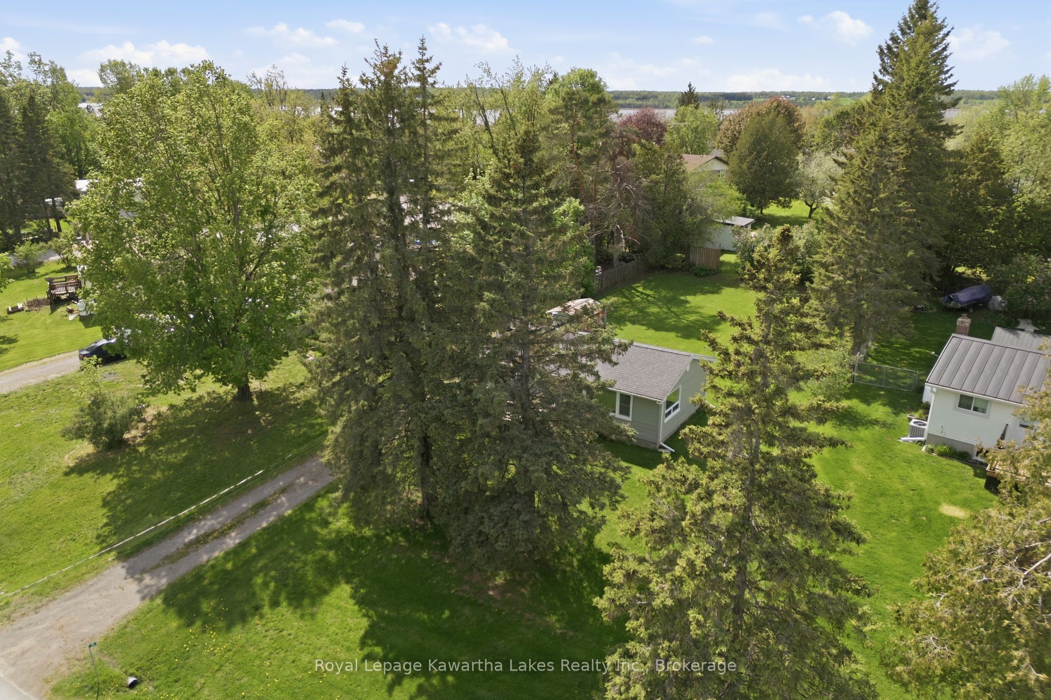 16 Marilyn Crescent, Kawartha Lakes, ON K0L 1T0 photo 5