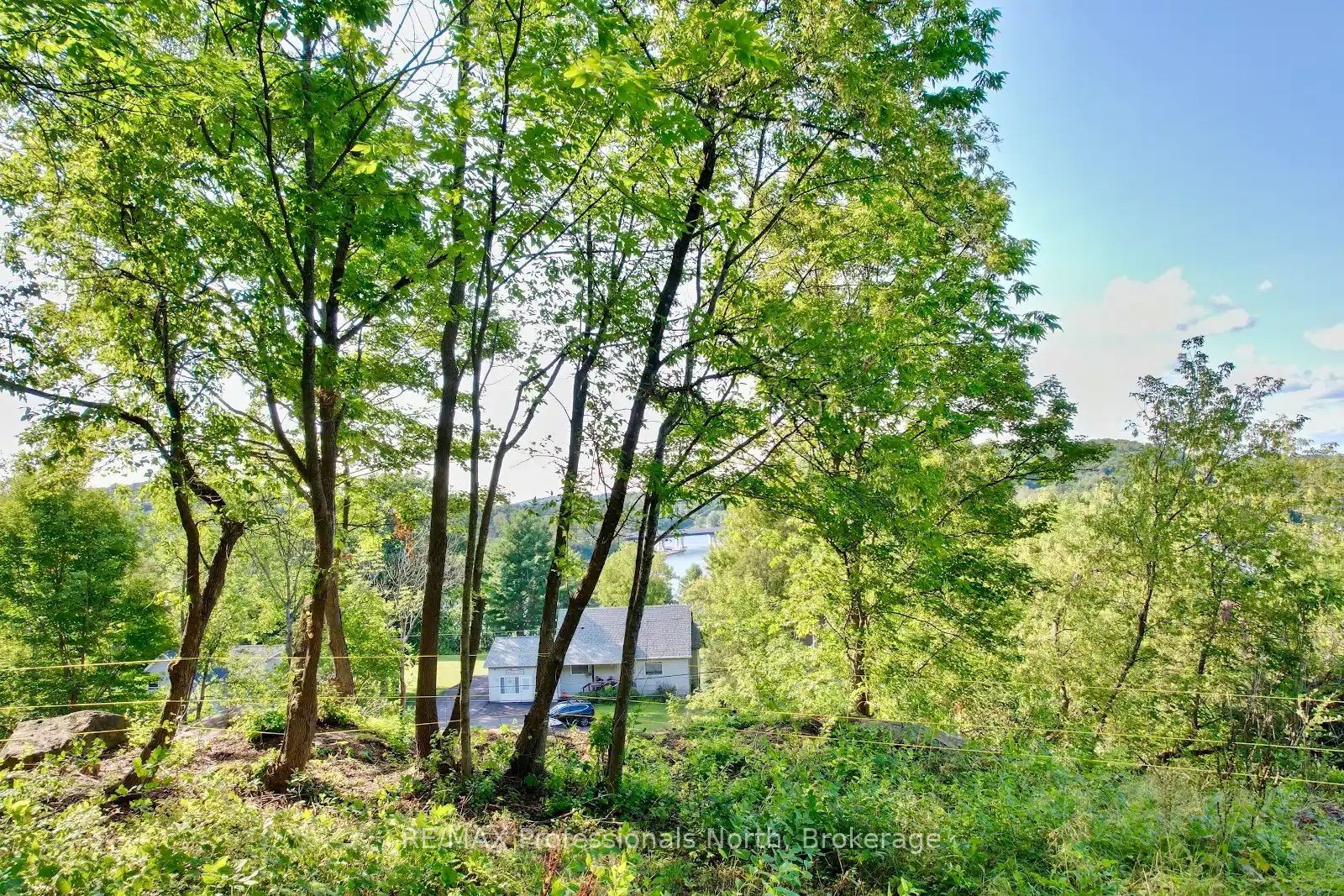 155 Main Street W, Huntsville, ON P1H 1X8 photo 5