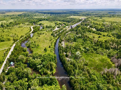 81 McGuire Beach Road, Kawartha Lakes, ON K0M 2B0