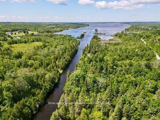 81 McGuire Beach Road, Kawartha Lakes, ON K0M 2B0 photo 3