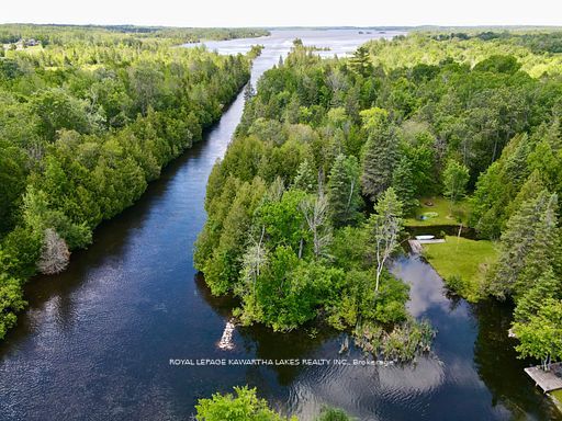 81 McGuire Beach Road, Kawartha Lakes, ON K0M 2B0 photo 4