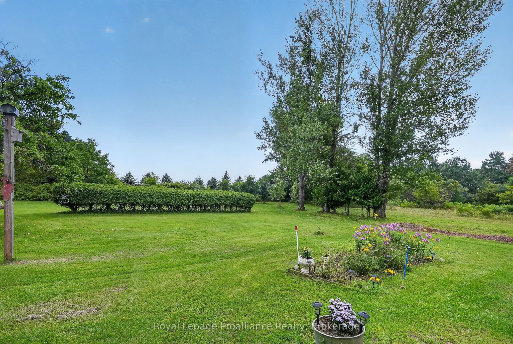 70 Simpson Street, Brighton, ON K0K 1H0 photo 5