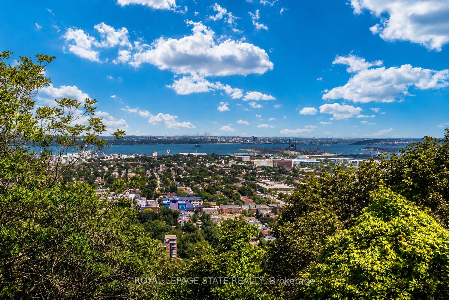 91 Mountain Park Avenue, Hamilton, ON L9A 1A1 photo 4