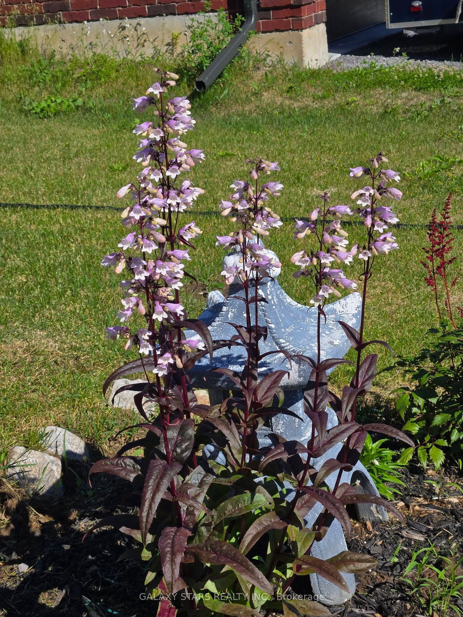 9 Bradley Lane E, Asphodel-Norwood, ON K0L 2V0 photo 5
