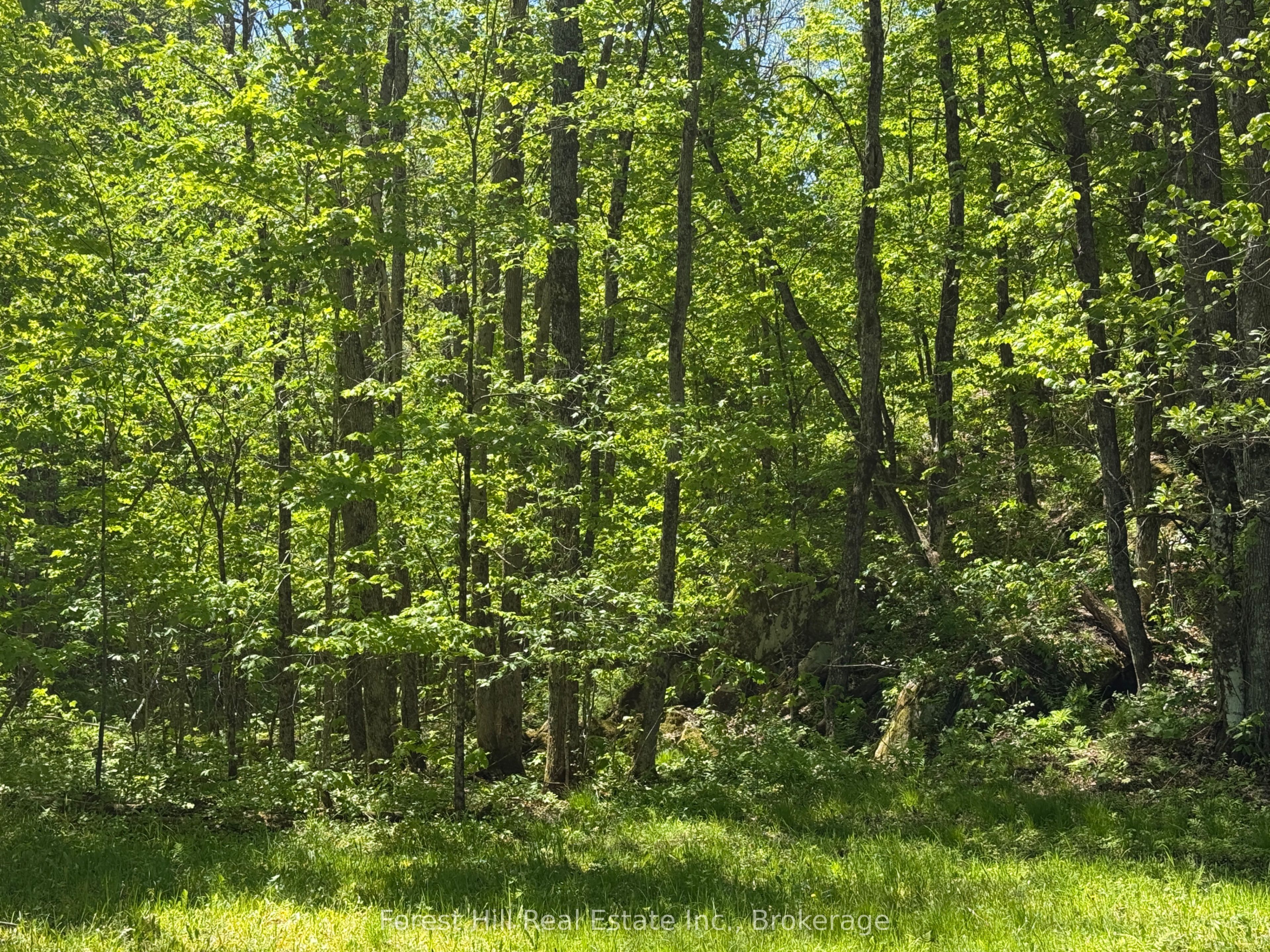 0 East Road, Parry Sound Remote Area, ON P0H 1S0 photo 3