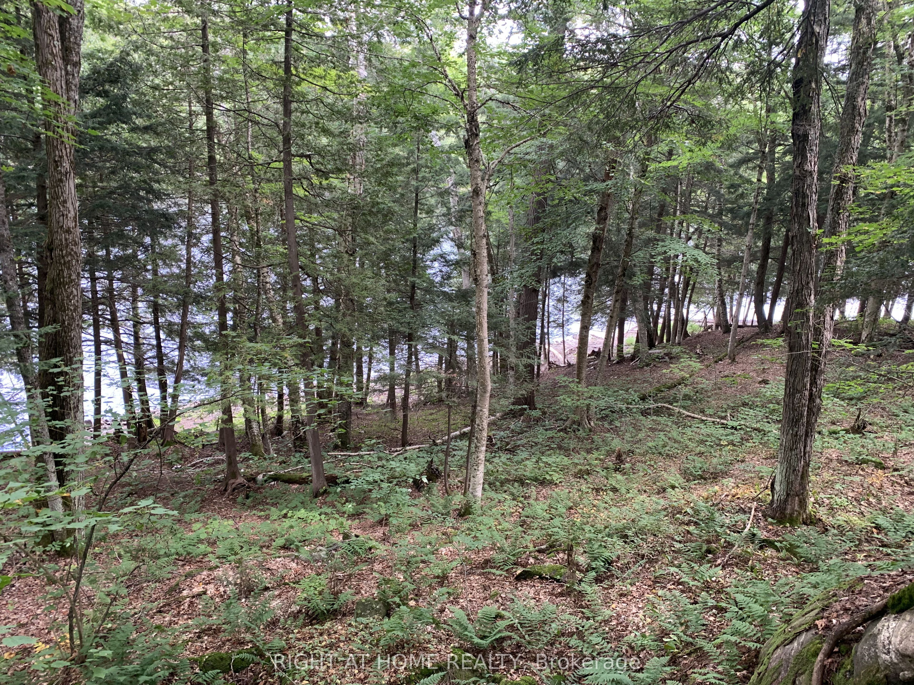 pt 3 Shadows End Lane, Magnetawan, ON P0A 1A0 photo 5