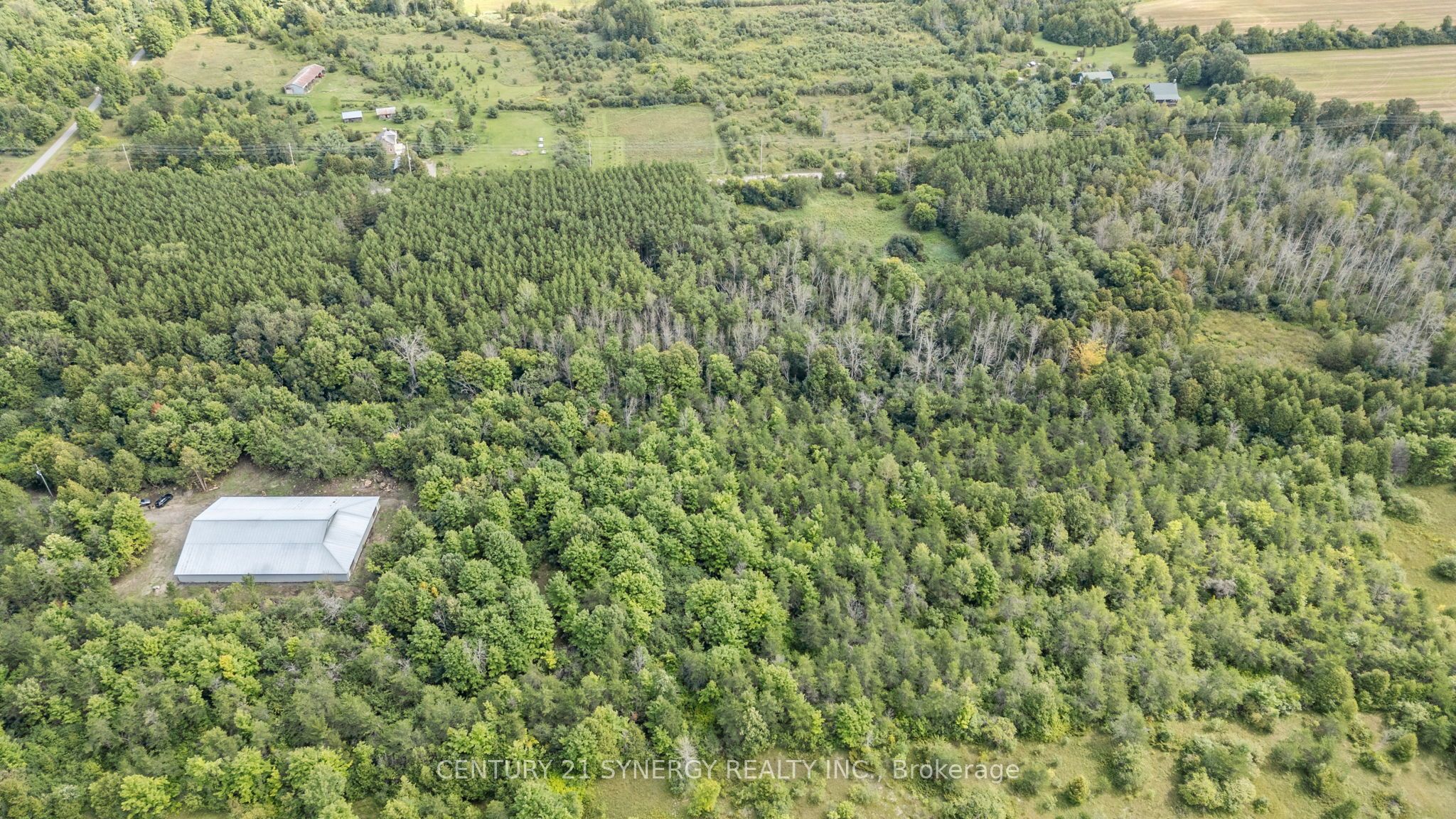 000 Drummond Concession, Drummond/North Elmsley, ON K0G 1W0 photo 5