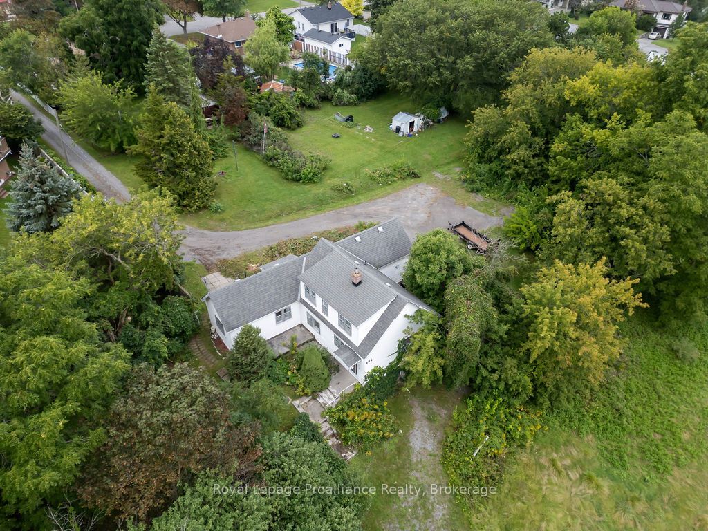 294 Moira Street E, Belleville, ON K8P 2T1 photo 2