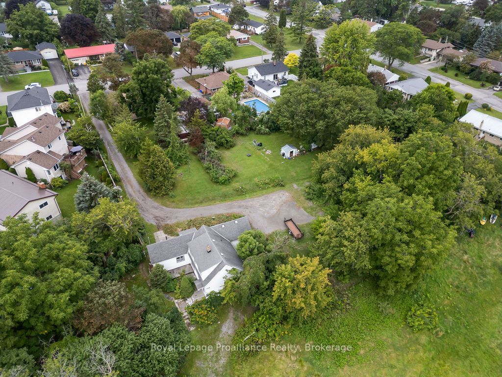 294 Moira Street E, Belleville, ON K8P 2T1 photo 3