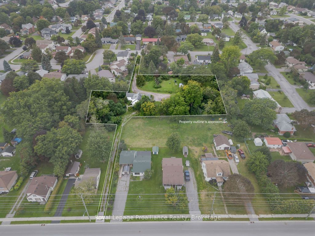 294 Moira Street E, Belleville, ON K8P 2T1 photo 4