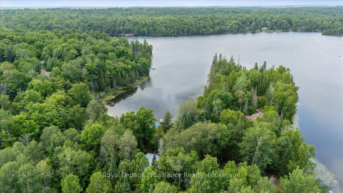 17 Halcomb Lane, Limerick, ON K0L 1P0 photo 4