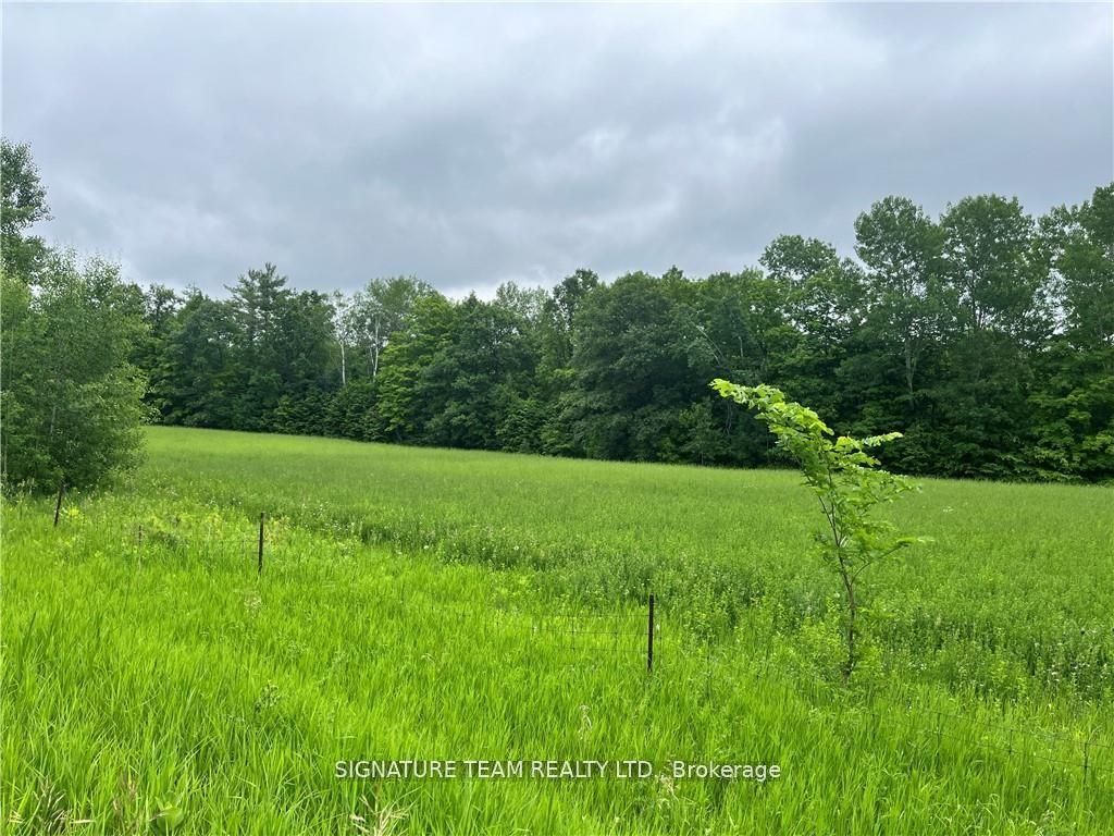 0 Grant Settlement Road, Whitewater Region, ON K0J 1V0