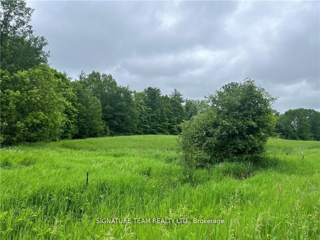 0 Grant Settlement Road, Whitewater Region, ON K0J 1V0 photo 3