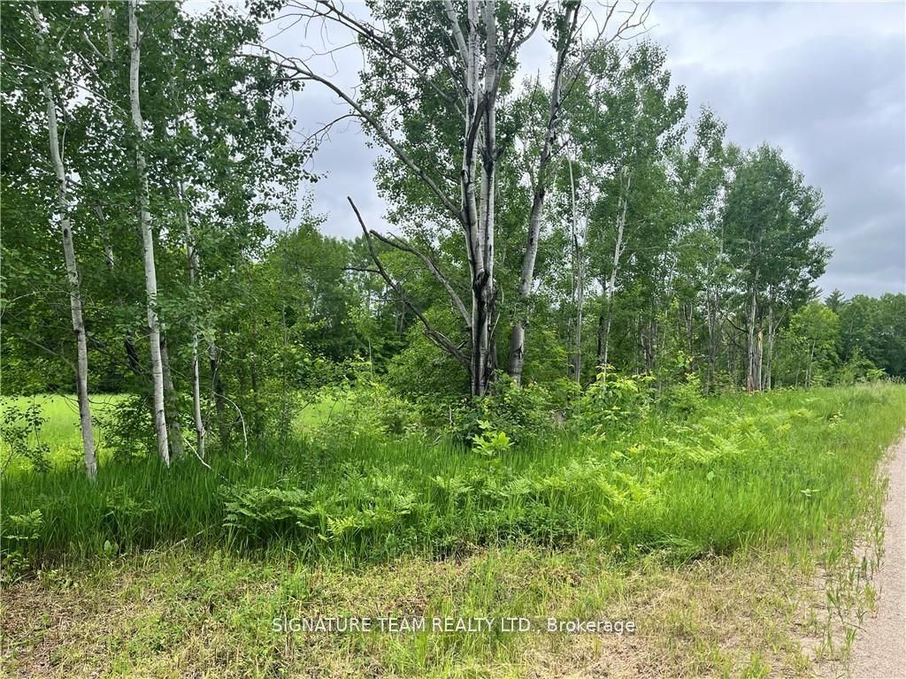 0 Grant Settlement Road, Whitewater Region, ON K0J 1V0 photo 5