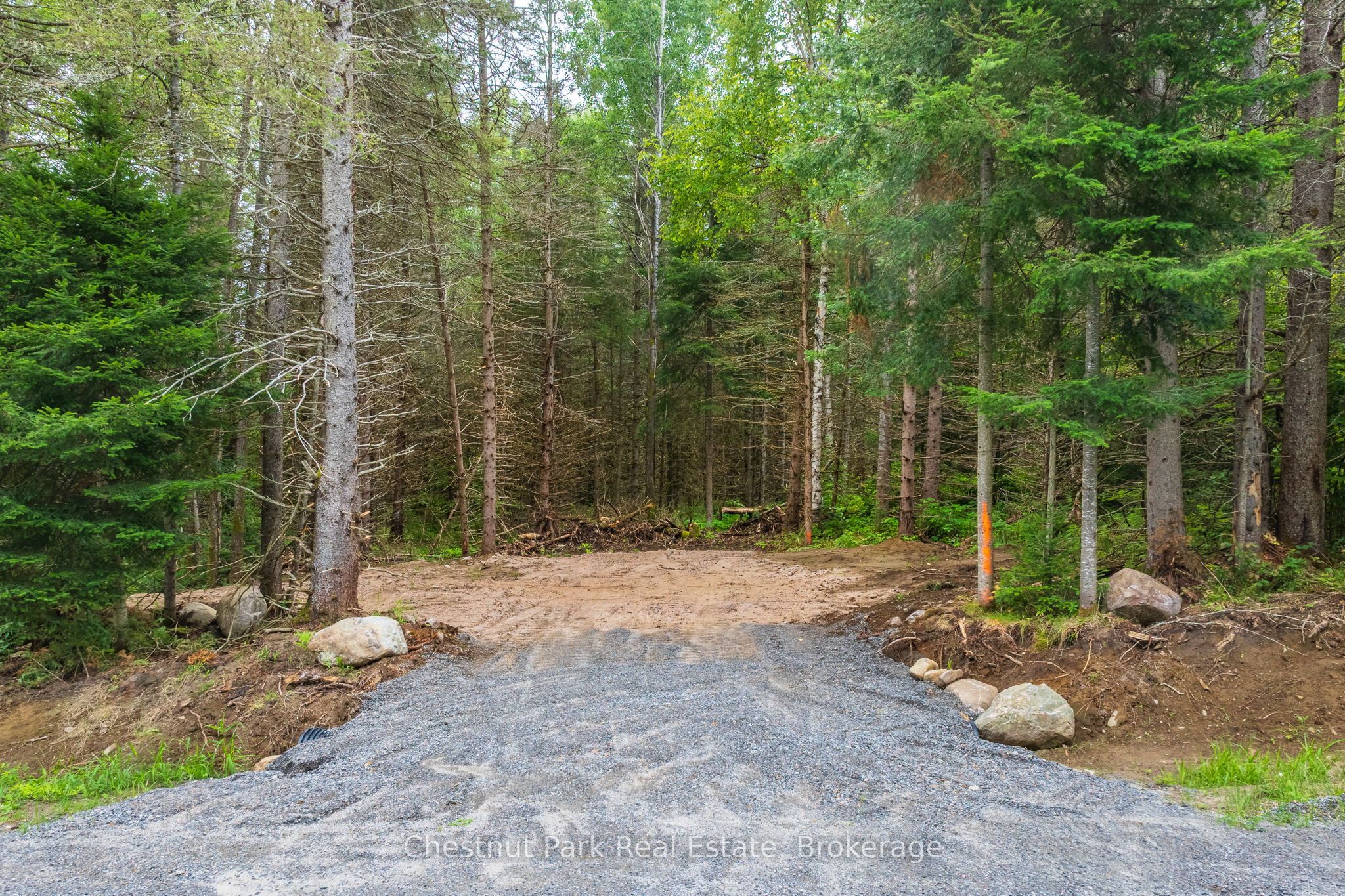00 Gibbons Road, Strong, ON P0A 1Z0 photo 3